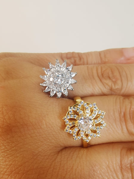 anillo