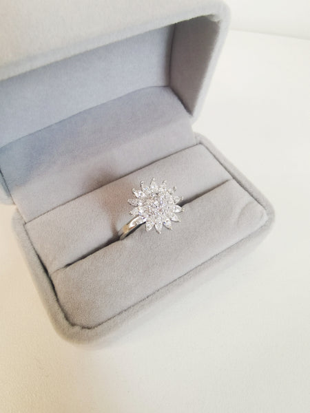 anillo